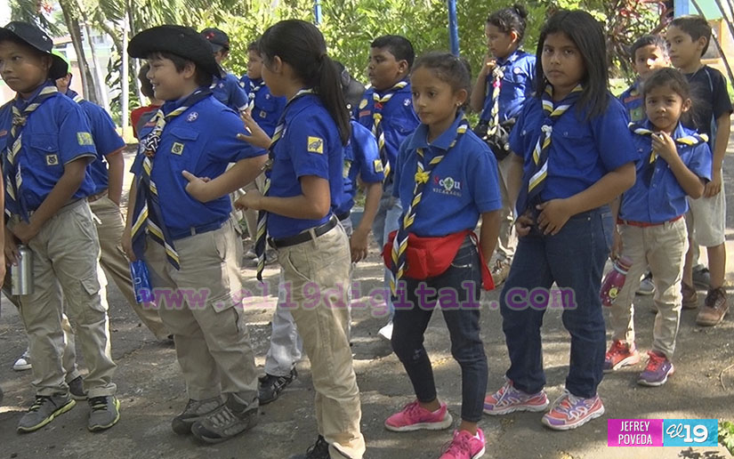 scout